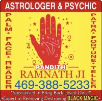 Indian Astrologer & Spiritual Healer image 6